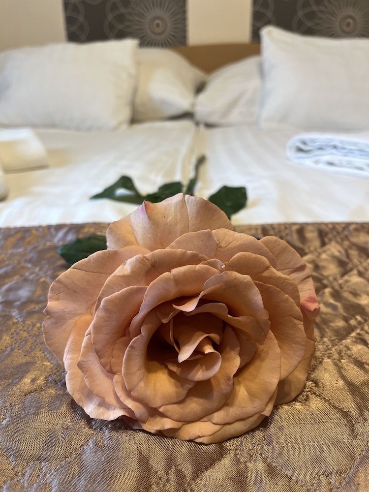 

Bologna - Budaörs - Hotel Rose City
