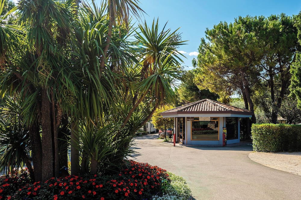 

Olbia - Gargnano - Camping Toscolano