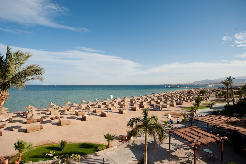 

Bari - Soma Bay - Imperial Shams Abu Soma