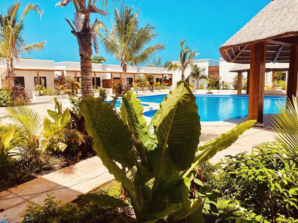 

Roma - Pingwe - The Bali Resort Zanzibar