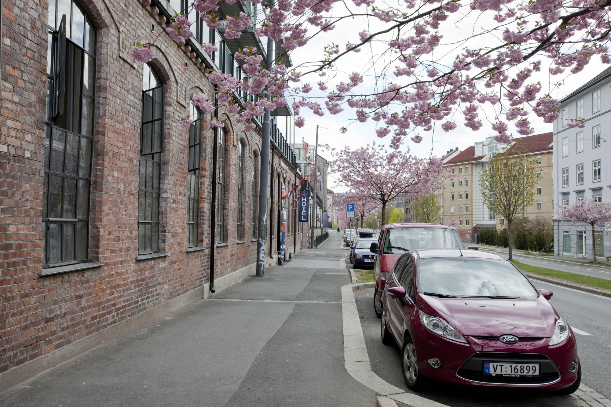 

Napoli - Oslo - Central City Hostel