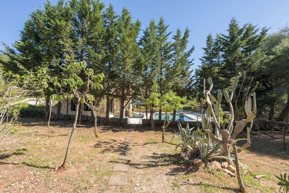 

Napoli - Kampíon - ARESTI MOUNTAIN RESORT