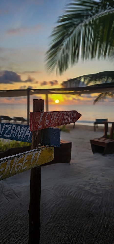 

Roma - Pongwe, Zanzibar - AVO Boutique Hotel