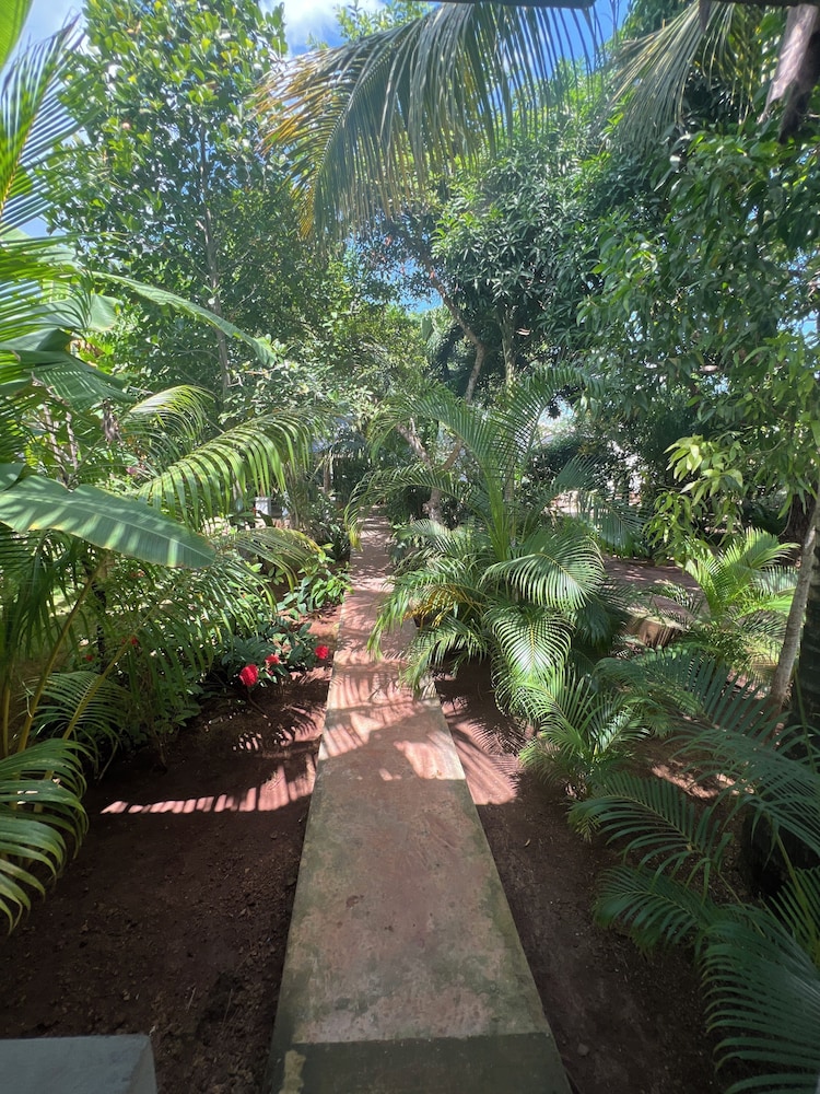 

Verona - Nungwi, Zanzibar - Olimpos