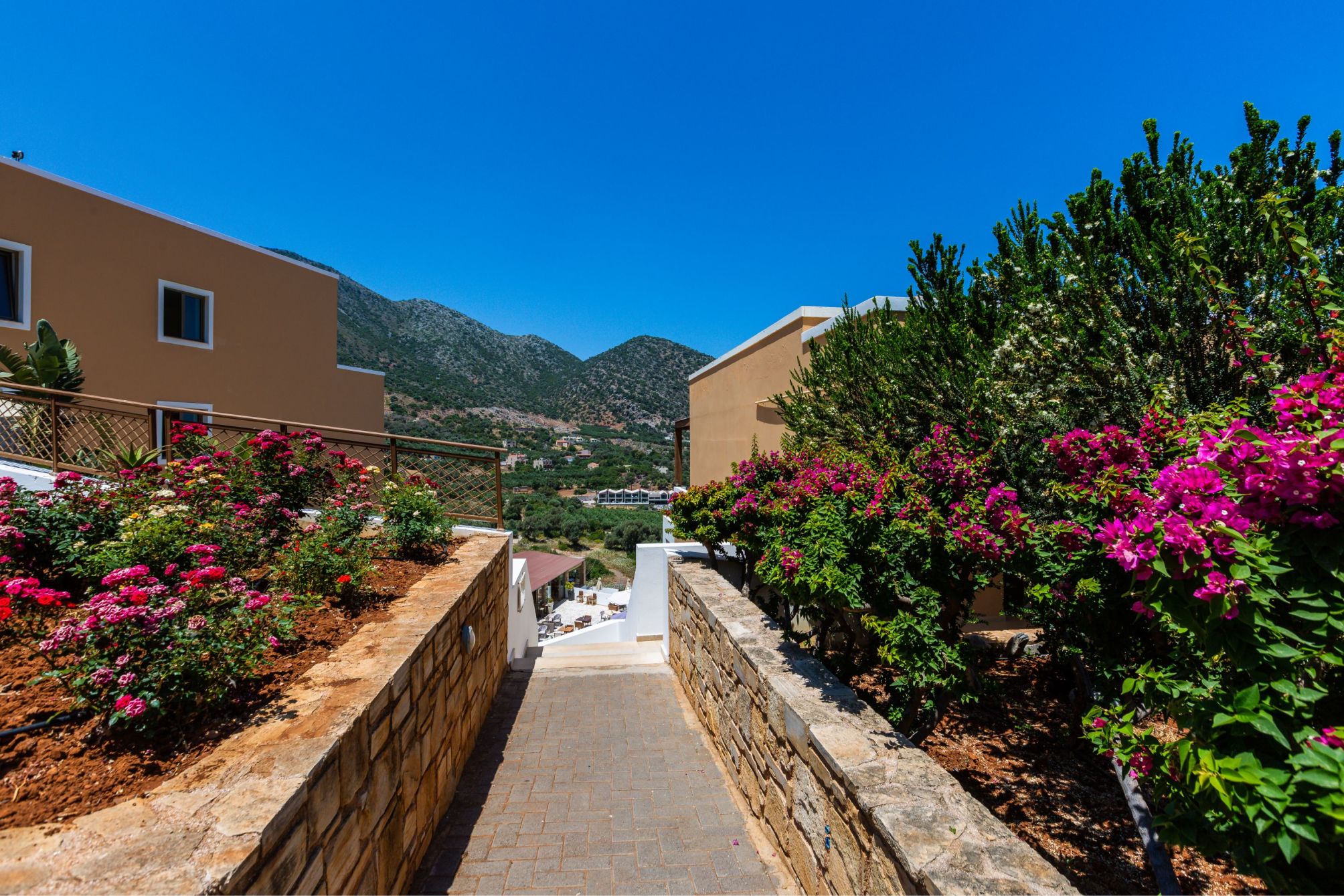 

Bologna - Mylopotamos - Filion Suites Resort & Spa