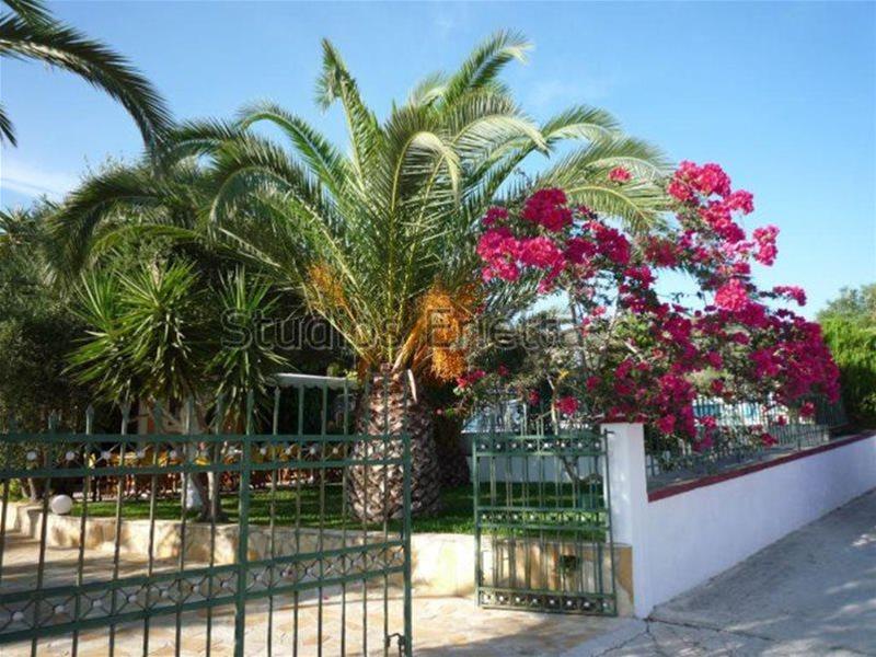

Bari - Cefalonia, Isole Greche - Erietta Studios