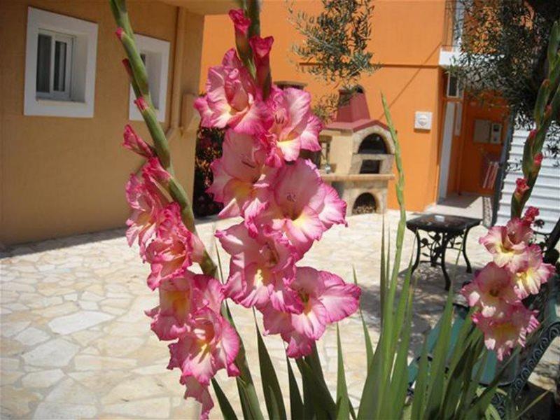 

Roma - Lassi - Erietta Studios