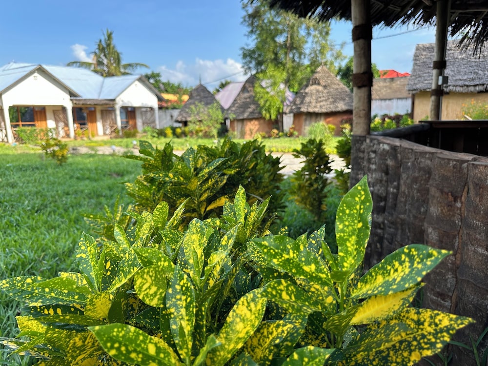 

Verona - Nungwi, Zanzibar - Zanzigo