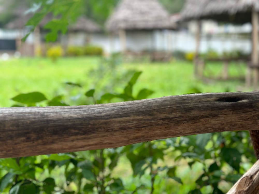 

Firenze - Nungwi, Zanzibar - Zanzigo