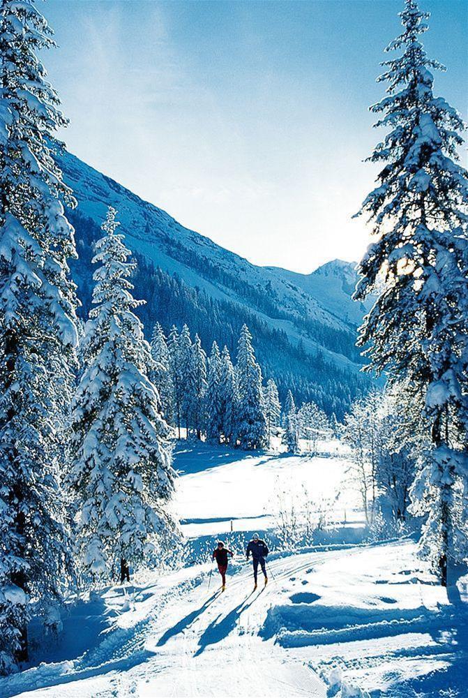 

Bari - Mayrhofen - Hotel Finkenbergerhof