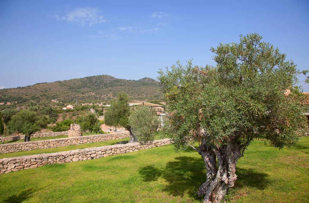 

Torino - Sant Llorenç des Cardassar - Agroturismo Ses Cases de Fetget