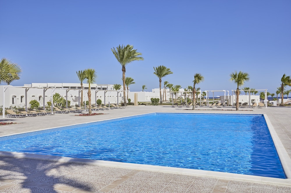 

Bari - Port Ghalib - Solymar Reef Marsa