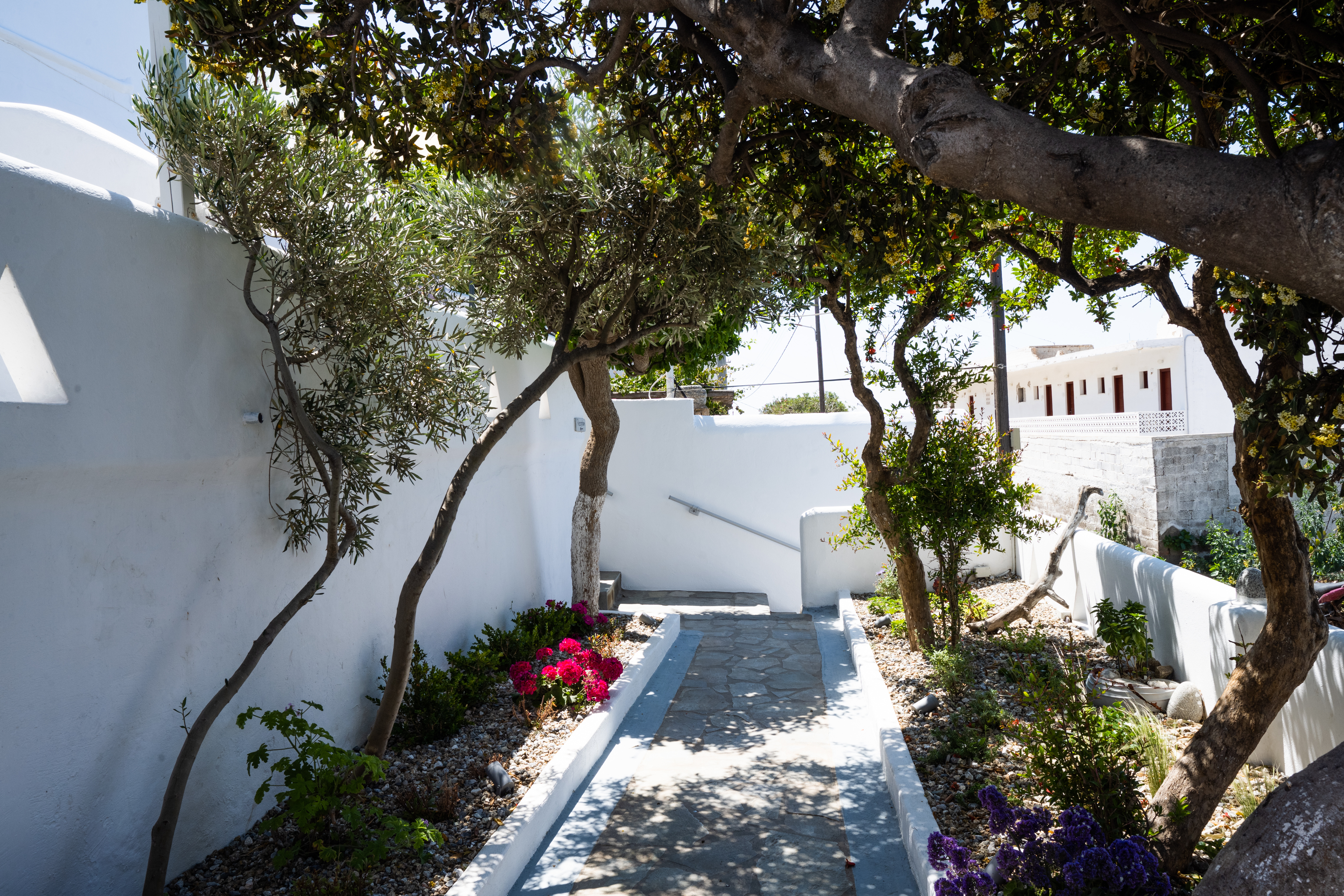 

Brindisi - Mykonos città - Zisis Pension