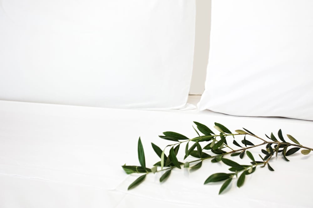 

Roma - Troulos - Atlas Hotel Skiathos