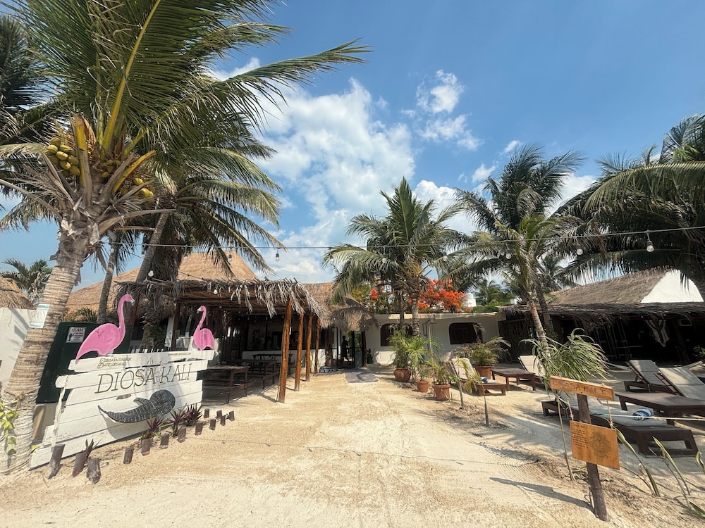 

Napoli - Isla Holbox - La Diosa Kali Beach Front Hotel