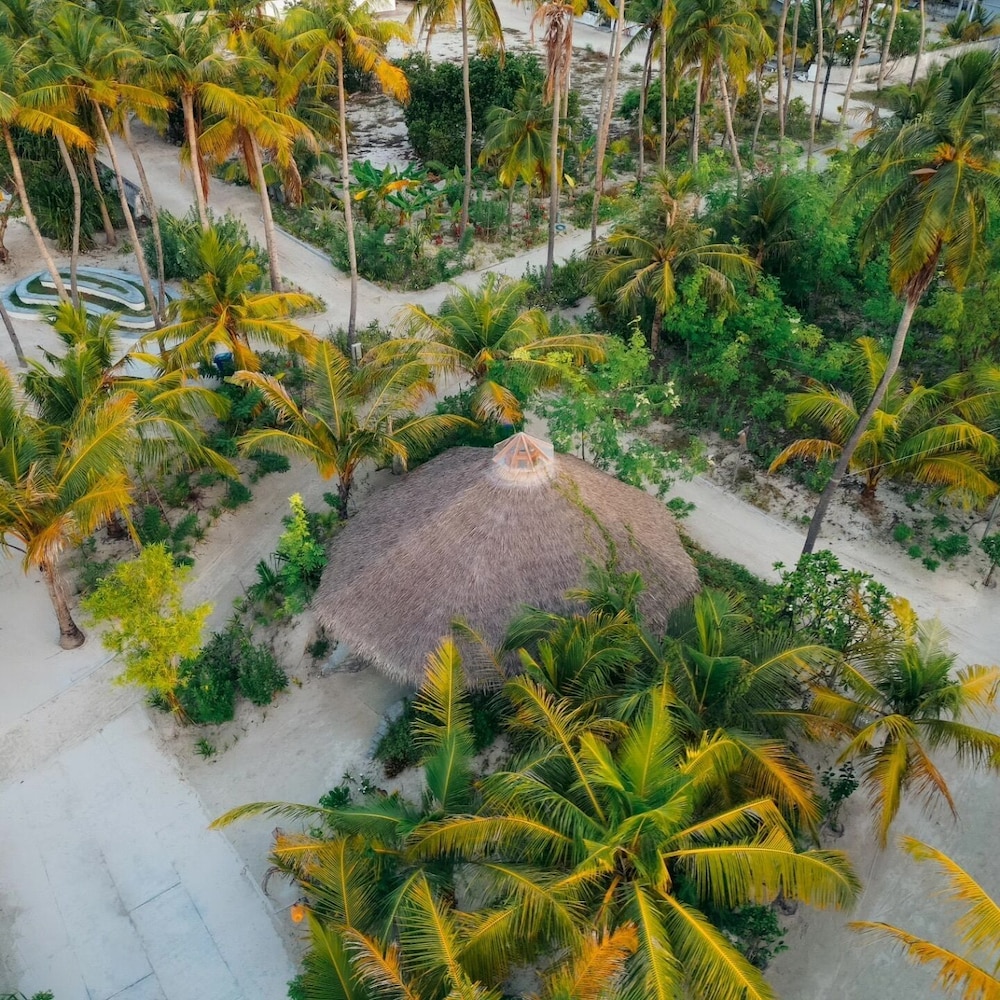 

Firenze - Maldive, Oceano Indiano - 101 Retreat