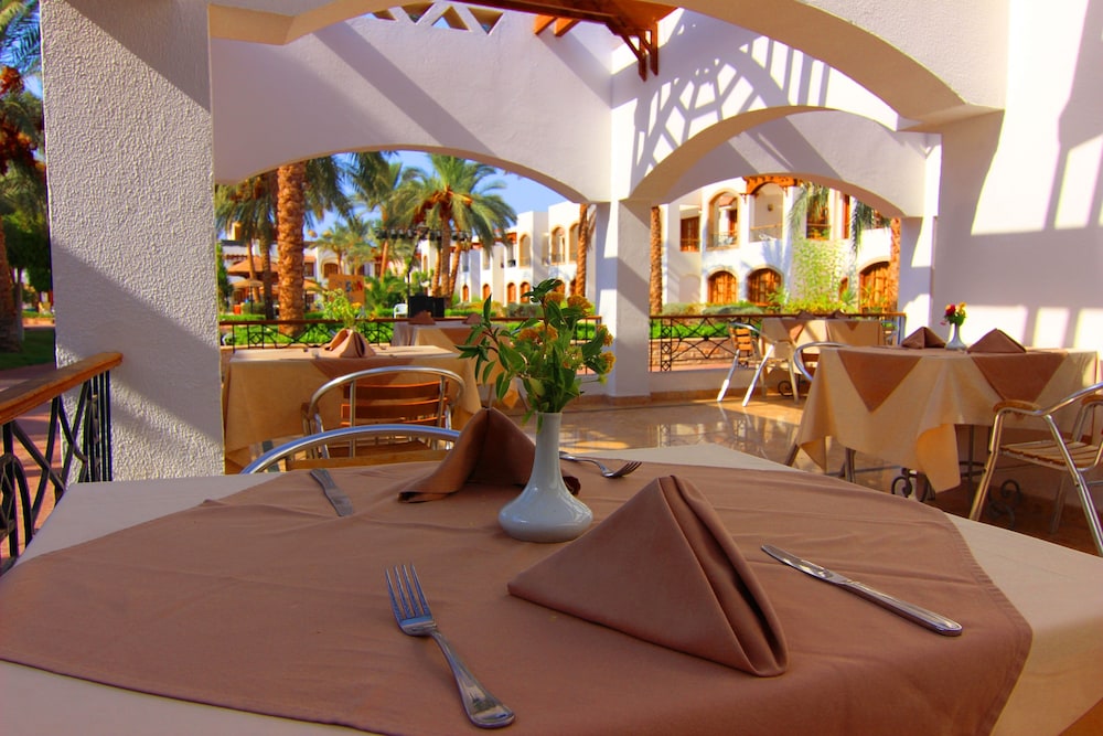 

Brindisi - Sharm El Sheikh - Coral Hills Resort Sharm El-Sheikh