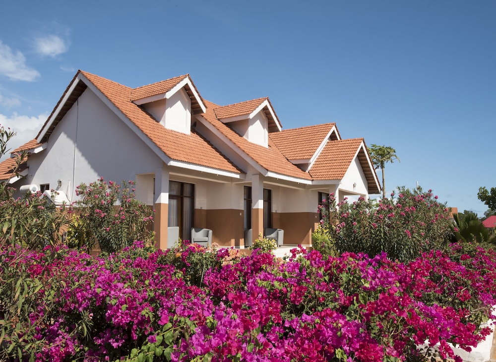 

Roma - Pongwe, Zanzibar - Azao Resort & Spa