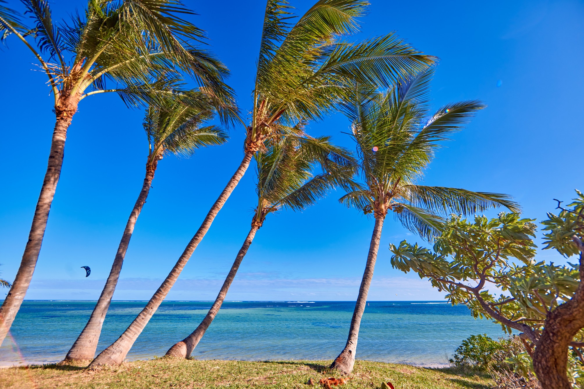

Torino - Le Morne - Riu Turquoise - All Inclusive