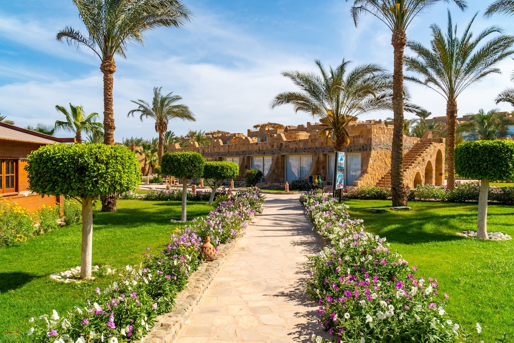 

Bologna - Marsa Alam e El Quseir, Mar Rosso - Utopia Beach Club