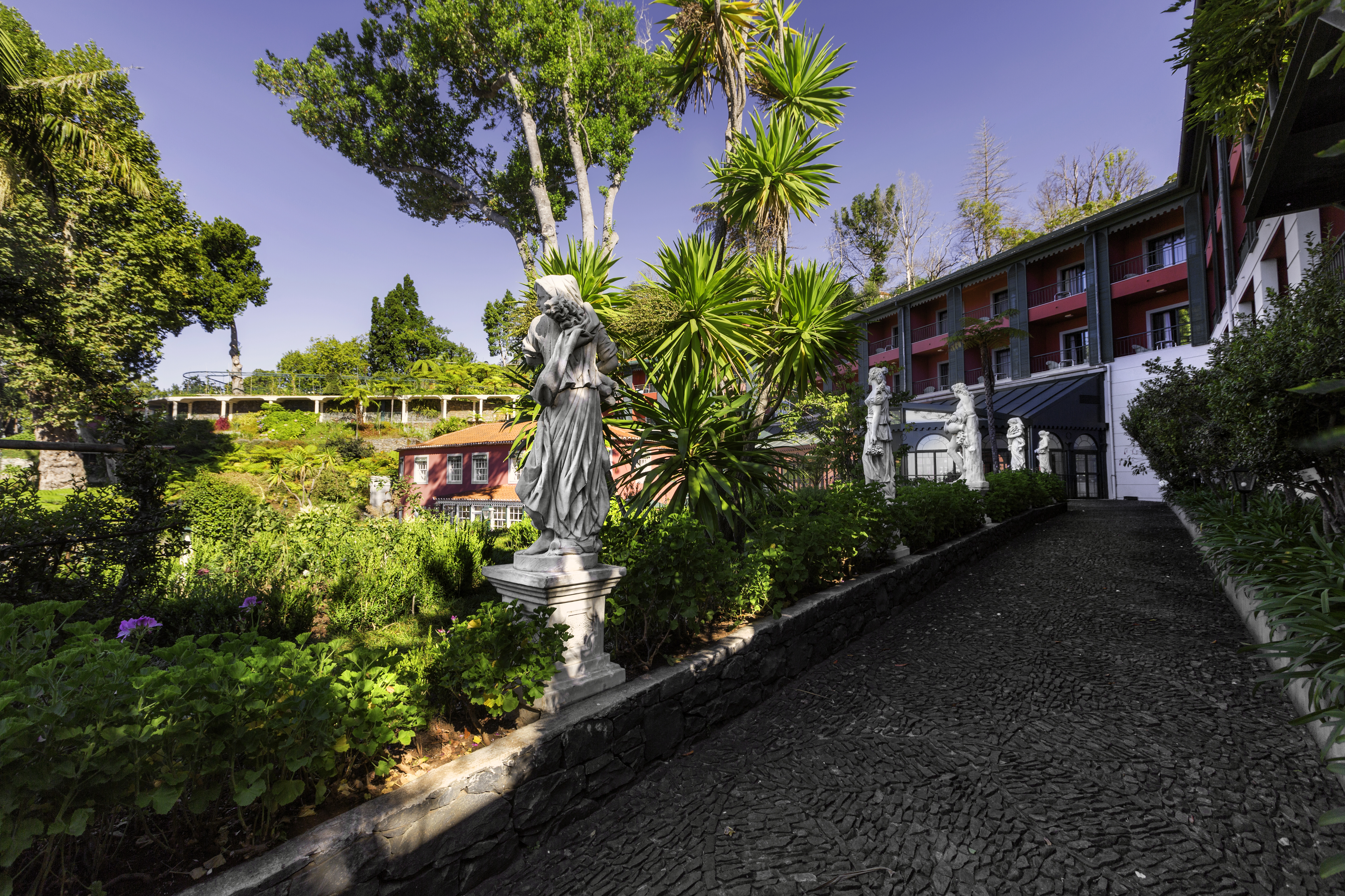 

Bologna - Câmara de Lobos - Quinta do Monte