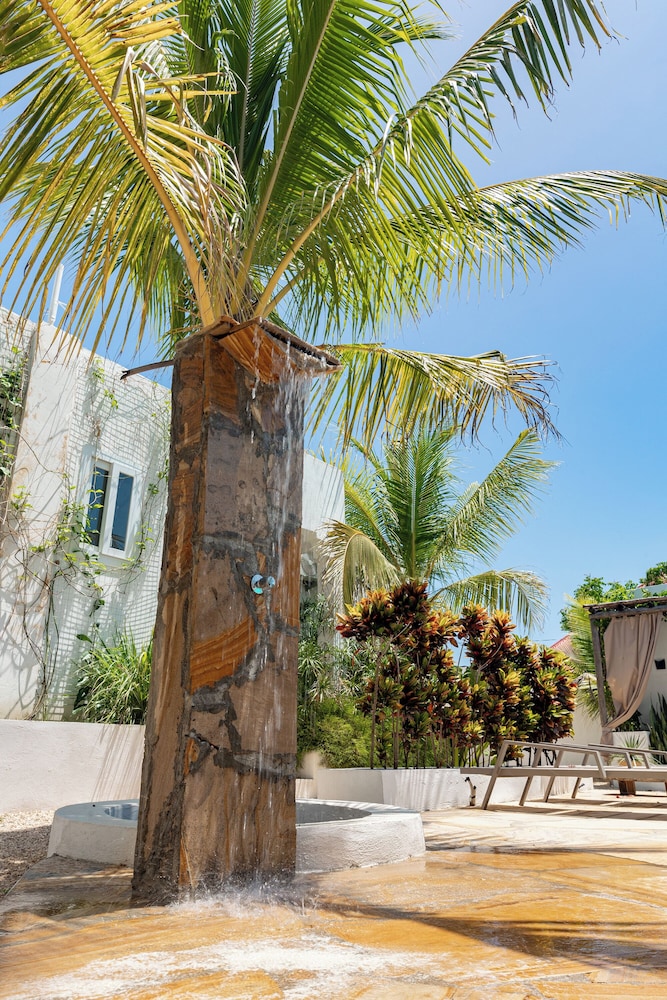 

Milano - Zanzibar, Tanzania, Oceano Indiano - Cactus lodge Zanzibar