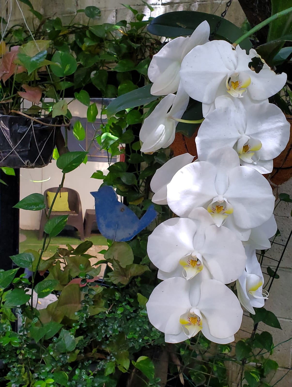 

Roma - San Salvador - Villa Madero - Hotel Boutique