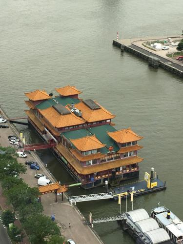 

Bari - Rotterdam - New Ocean Paradise Hotel