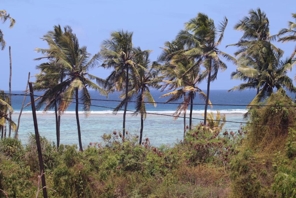 

Cagliari - Matemwe - Holiday Time Bungalows Zanzibar