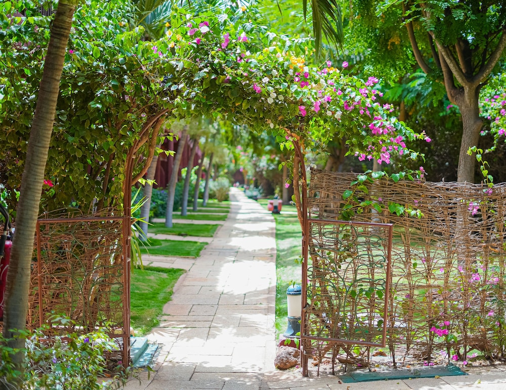 

Milano - Somone - Royal Horizon Baobab - All inclusive