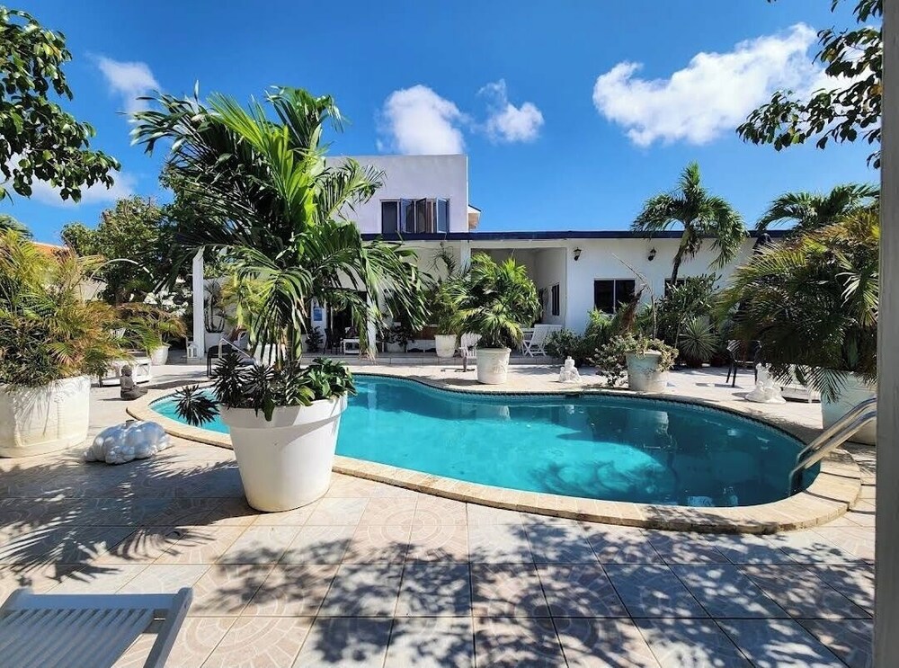 

Bologna - Palm Beach - First Day Hotel on Aruba