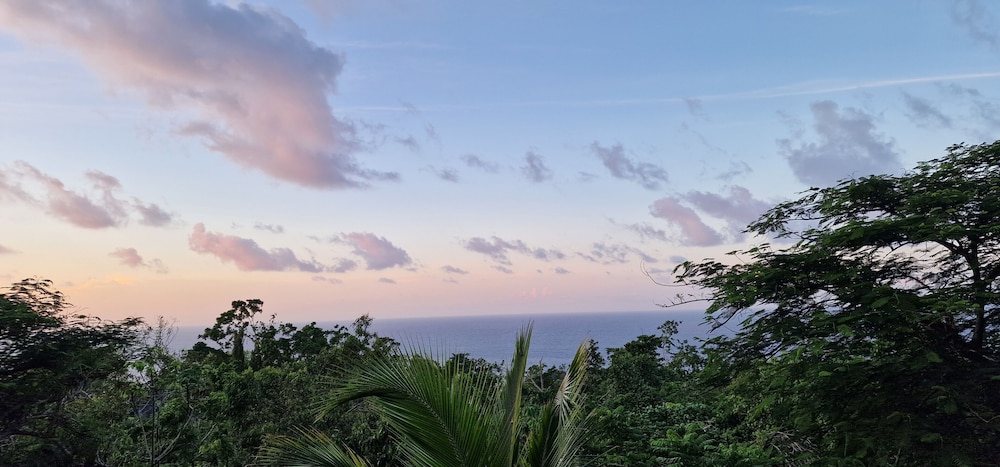 

Milano - Port Antonio - LF Jungle Retreat