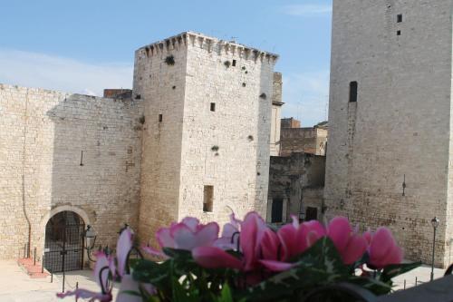 

Roma - Molfetta - Palazzo Bonomi