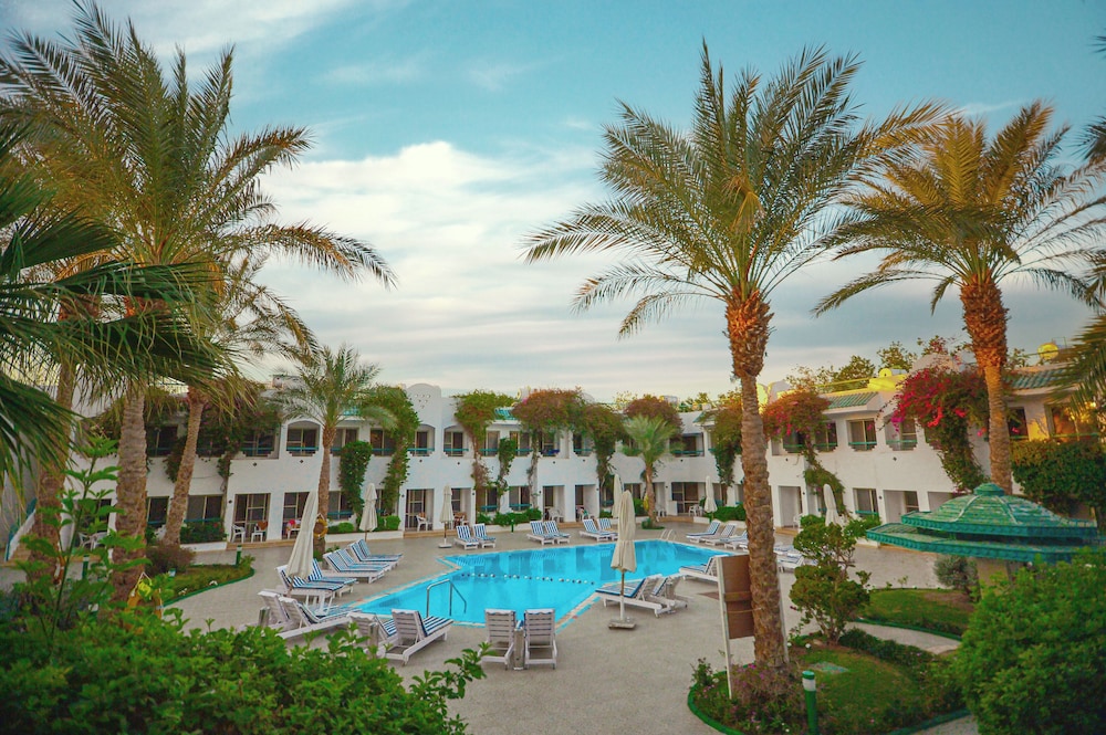 

Catania - Sharm El Sheikh - Falcon Hills Hotel