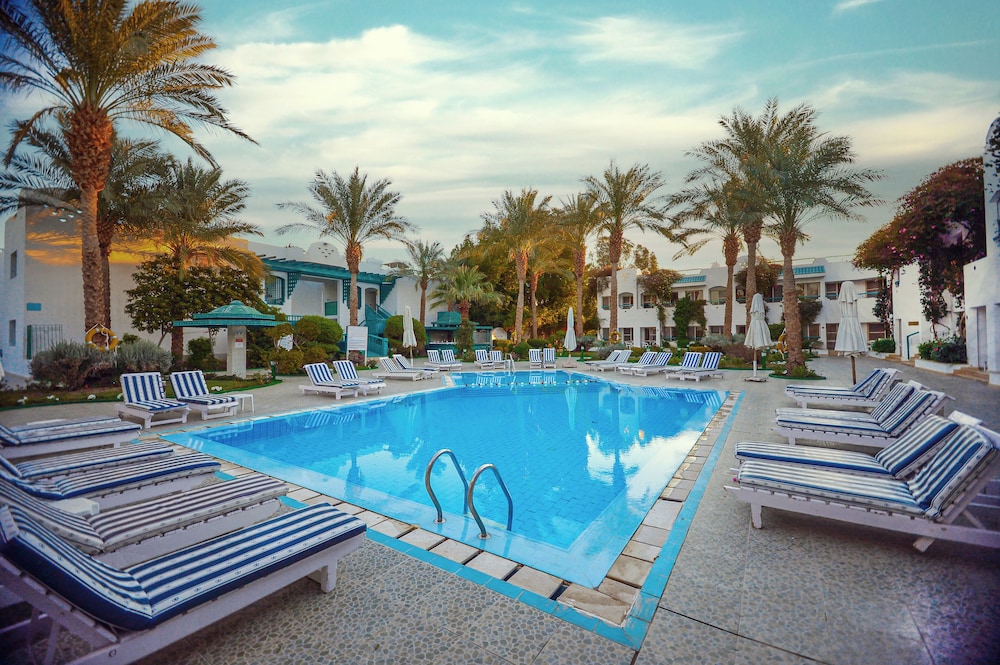 

Bari - Sharm El Sheikh - Falcon Hills Hotel
