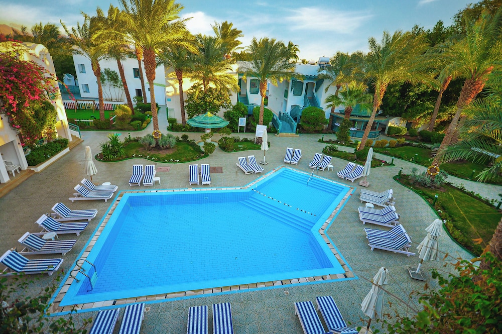 

Lamezia Terme - Sharm El Sheikh - Falcon Hills Hotel