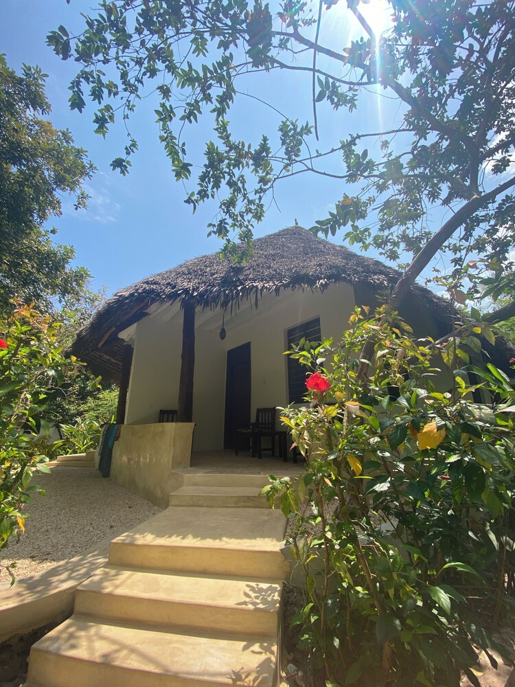 

Bari - Mangapwani - Mangrove Lodge