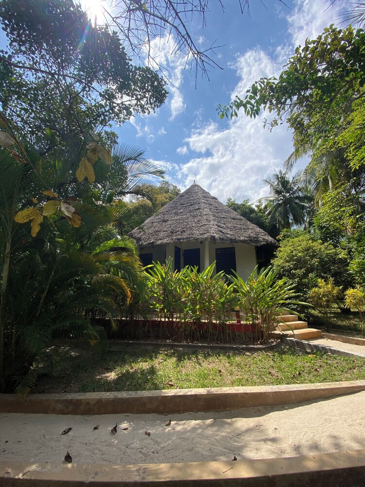 

Milano - Kama - Mangrove Lodge