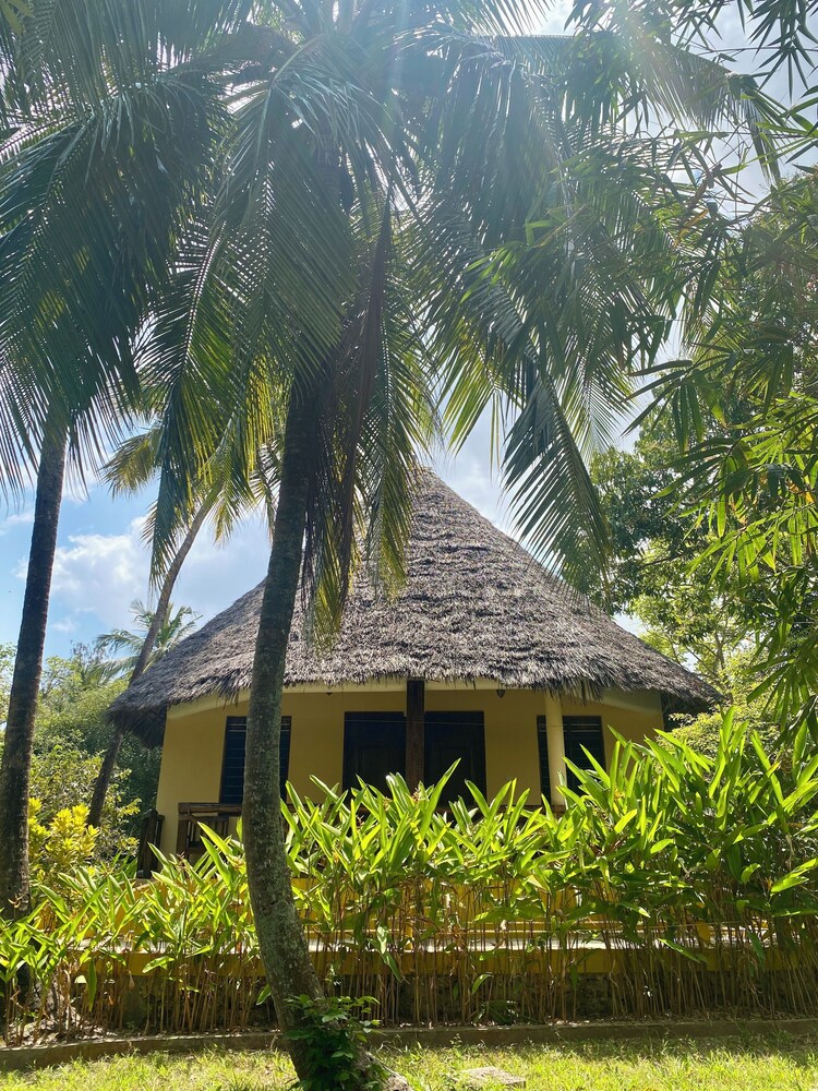 

Milano - Kama - Mangrove Lodge