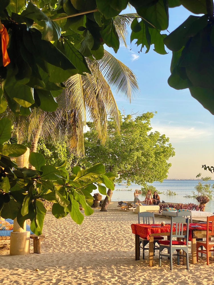 

Roma - Bububu - Mangrove Lodge