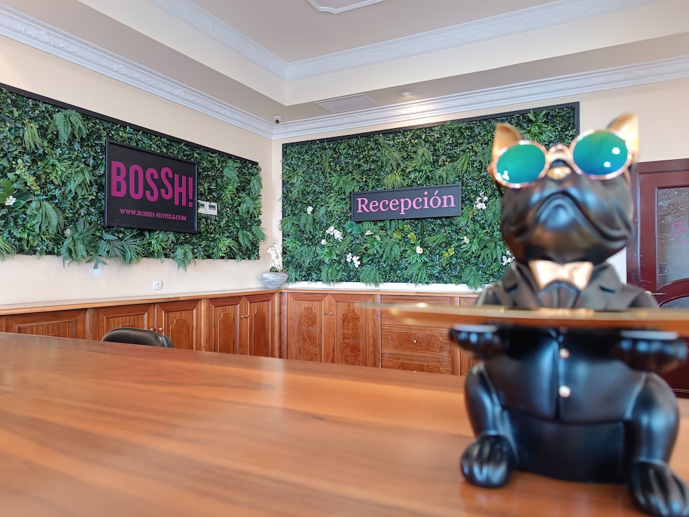

Roma - Albacete - Hotel Bossh Alicia