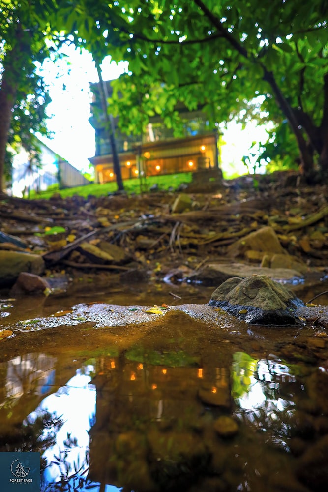 

Roma - Kandy - Forest Face Lodge