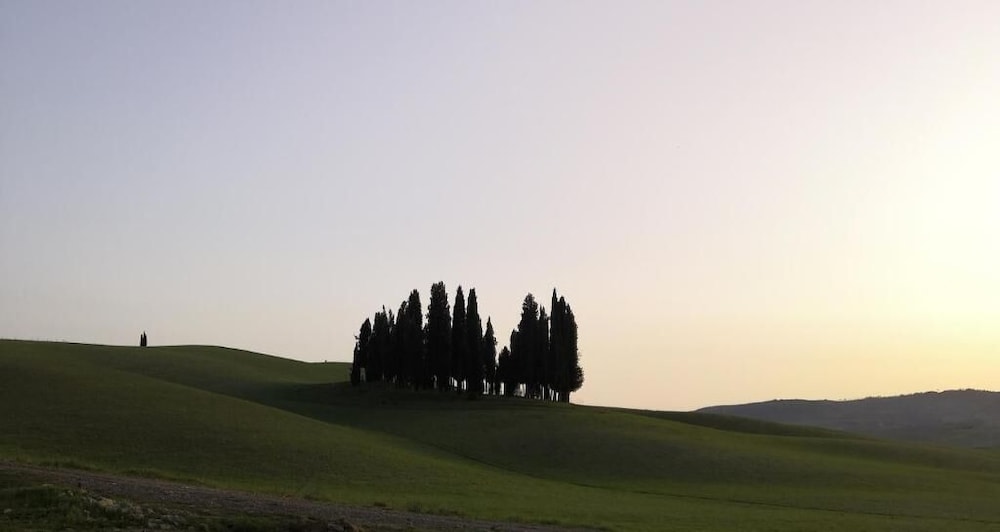 

Catania - Montalcino - Albergo Giardino