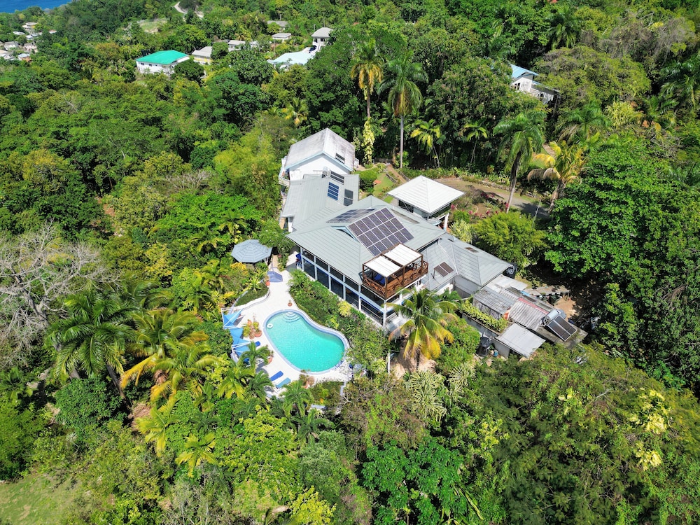 

Reggio Calabria - Port Antonio - LF Jungle Retreat