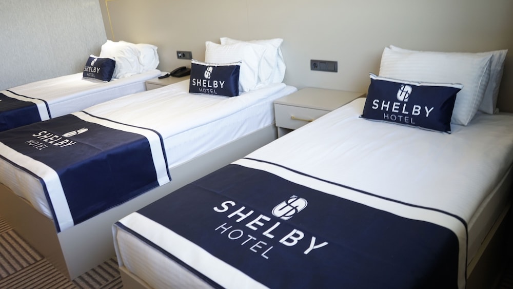 

Roma - Erciyes - Shelby Hotel