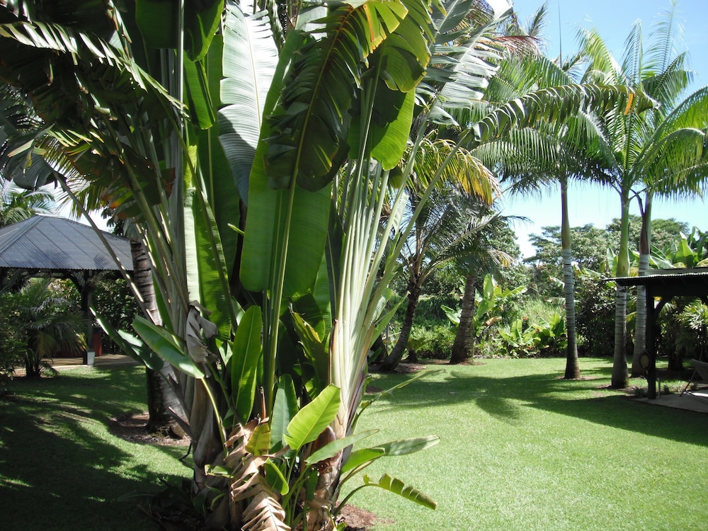 

Bologna - Hilo - Island Goode's - Luxury Adults Only Accommodation