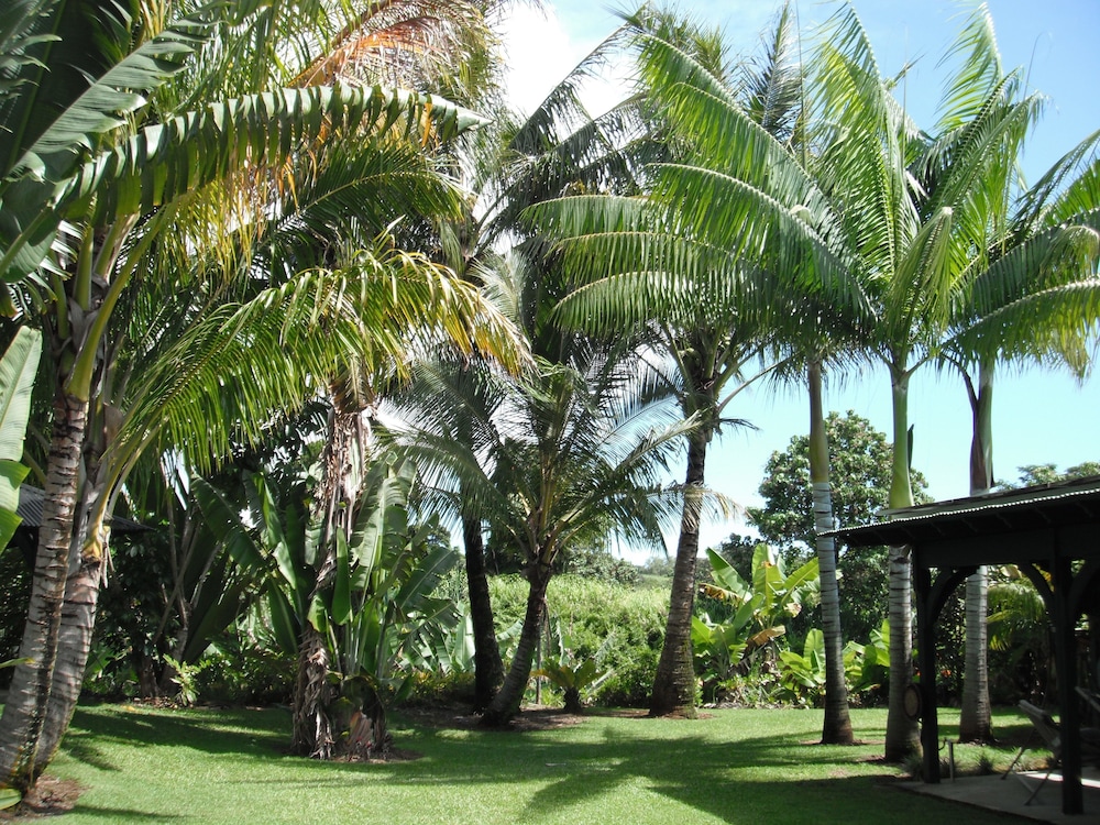 

Bologna - Hilo - Island Goode's - Luxury Adults Only Accommodation