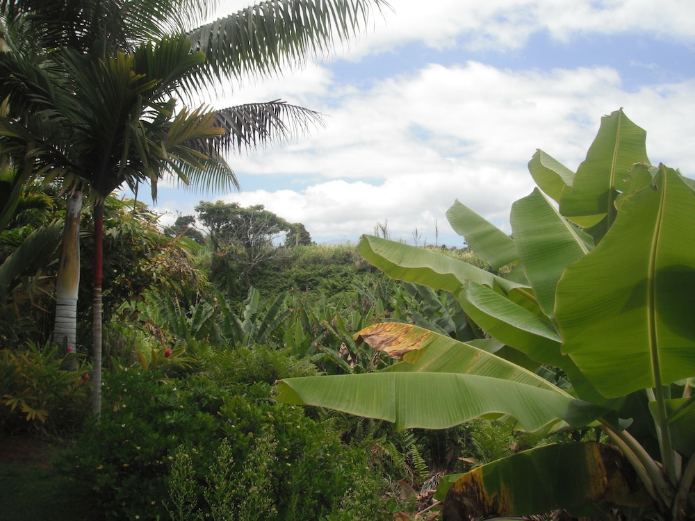 

Verona - Hilo - Island Goode's - Luxury Adults Only Accommodation