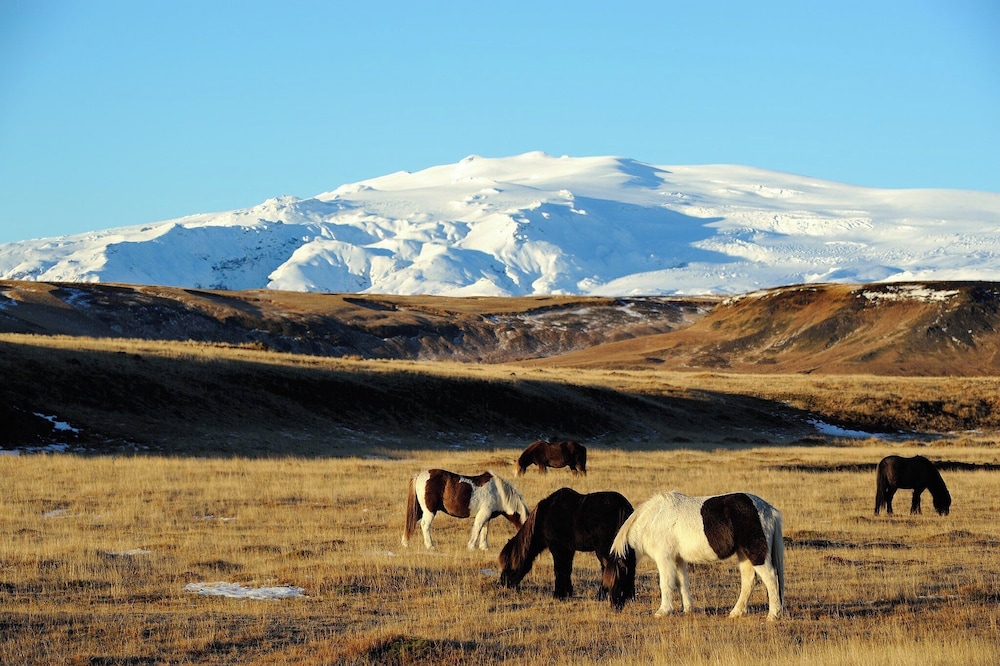 

Roma - Vik i Myrdal - Hótel Dyrhólaey