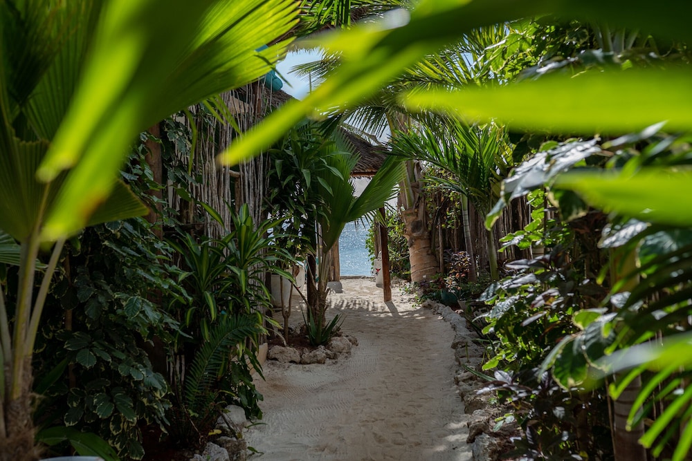 

Verona - Jambiani, Zanzibar - Pili Pili House